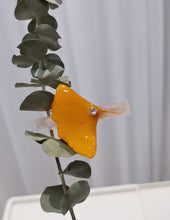 Laden Sie das Bild in den Galerie-Viewer, Ginkgo Biloba Pressed Flowers Hair Pins