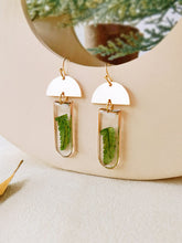 Carregar imagem no visualizador da galeria, Window-shaped Brass Frames Pressed Fern Earrings