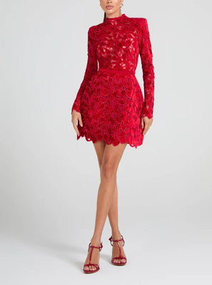 Embroidered Lace Mini Dress