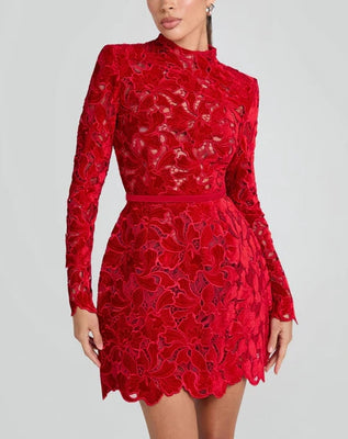 Embroidered Lace Mini Dress