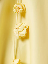 Carica l&#39;immagine nel visualizzatore di Gallery, Fiona Rose Mini Dress