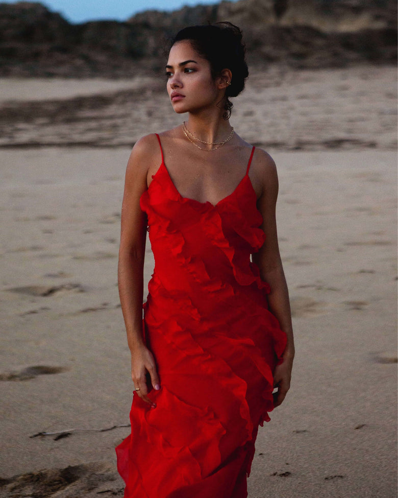 aikergood Bella Chiffon Ruffle Backless Maxi Dress