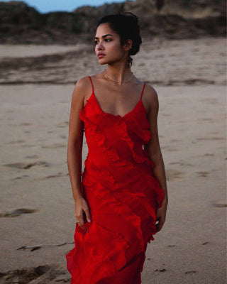 aikergood Bella Chiffon Ruffle Backless Maxi Dress