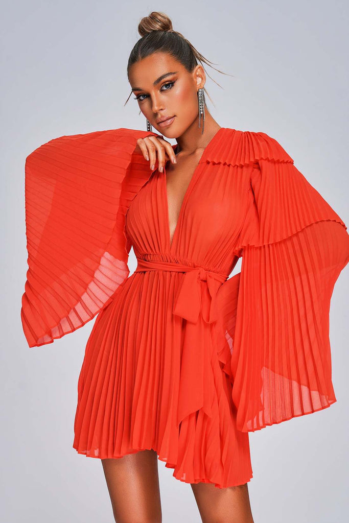 aikergood Le Baiser De Kara Pleated Mini Dress