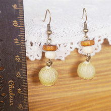 Lataa kuva Galleria-katseluun, Handmade Jewelry Retro Solid Wood Dried Fruit Earrings