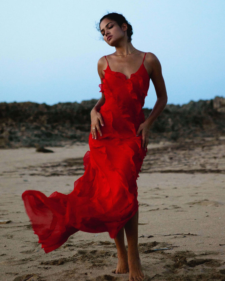 aikergood Bella Chiffon Ruffle Backless Maxi Dress