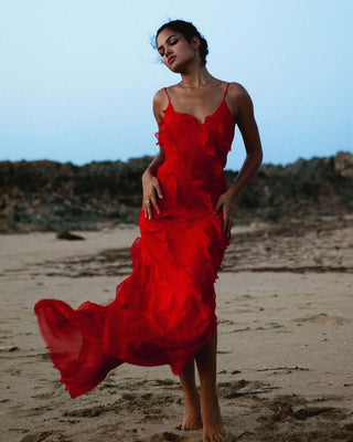 aikergood Bella Chiffon Ruffle Backless Maxi Dress