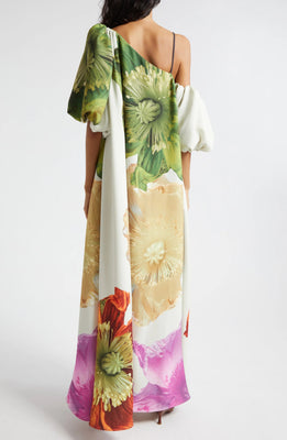 Payton Floral Asymmetric Neck Maxi Dress