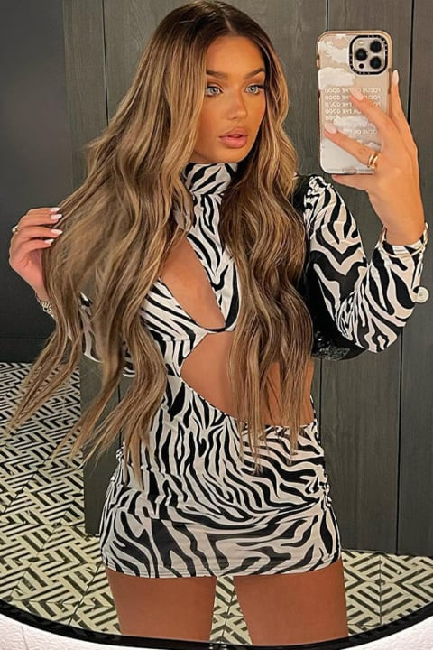 aikergoodSafari ¨¤ Imprim¨¦ Z¨¨bre High Neck Bodycon Cut Out Mini Dress