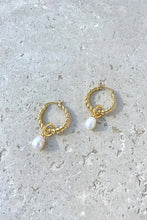 Load image into Gallery viewer, Twist Pearl Drop Earrings - Gold/Pearl