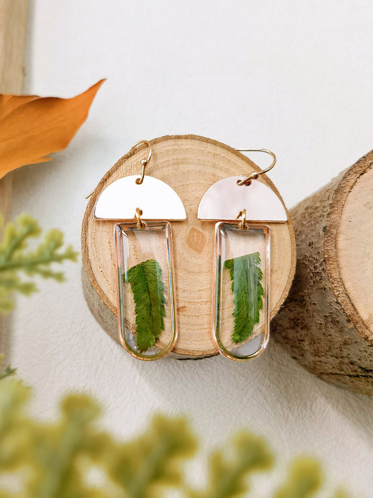 Window-shaped Brass Frames Pressed Fern Earrings